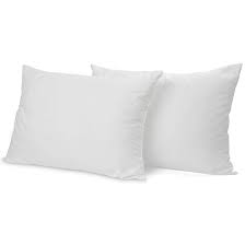 White Cotton Filled Pillow Pack Of 2