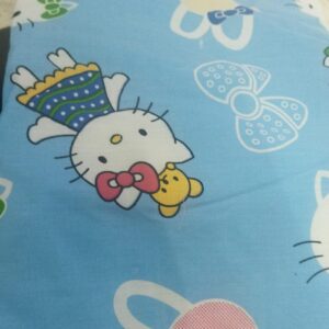 Sky Blue Colour Baby Dry Sheet