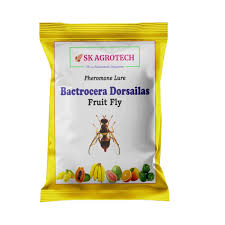 Sk Agrotech Pheromone Lure Bactrocera Dorsailas Fruit Fly 5 G