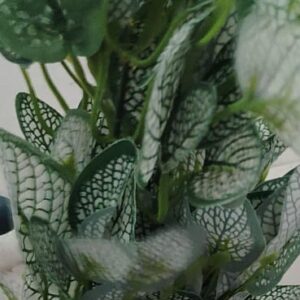 Artificial Pothos Plant With Modern White Ceramic Pot