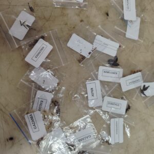 Natural 20 Flower Seeds Combo Pack