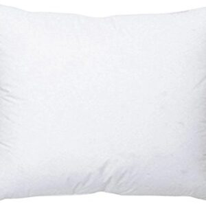 White Color 1 Pillow