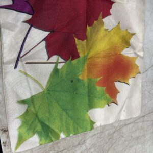 Women Multicolor Cushion Cover