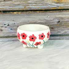 Bowl Shape Ceramic Planters 1 N