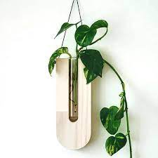 Wooden Hanging Glass Plant Pot 2Pcs