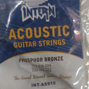 Intern Acoustic Hza String