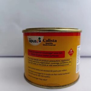 Enamel Birla Opus Paint 100Ml