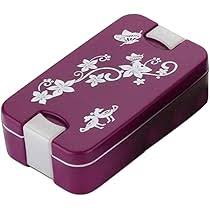 Lunch Box 2 Compartment Lunch Box Multi Color