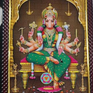 Varahi Amman Devi Photo Frame Wall Hook Matt Religious Poster Pooja Room 13 To 10 Inch