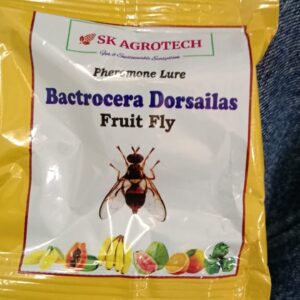 Sk Agrotech Bactrocera Dorsalis Fruit Fly