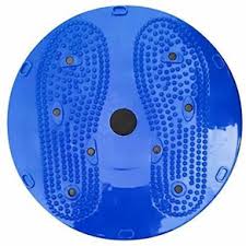 Bkc Freeze Fitness Tummy Twister Ab Exerciser Sky Blue