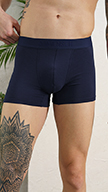 Damensch DeoSoft Trunks Kentt nevey Blue colour size L