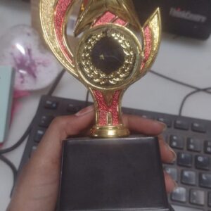 Private Lable Fiber Trophie pack of 1