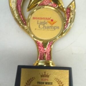 Private Lable Fiber Boy Star Golden Trophy 1pcs