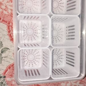 Private Lable Fridge Storage container Freezer Storage Containers