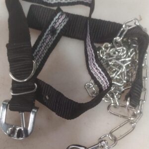 Private Lable Strong Nylon Everyday Dog Collar Leash Set