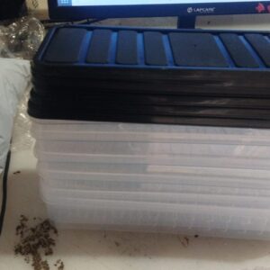 Private Lable Storage Boxes Pack of 6 Leafy Vegetables Coriander Food Curry Leaves Container Plastic Dabbe Fridge Fruits Organizer Set 1200 ML Fridge