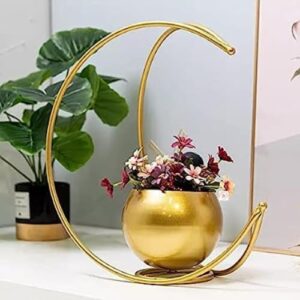 Private Lable 2BP Flower Pot Geometric Design Vase in Gold Finish 24X24cm Moon Planter Pot Perfect for Indoor Plants Flowers Table Living RoomGarden Decor