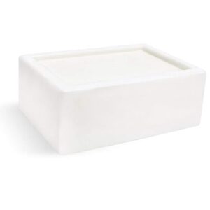 Vedini Coconut Milk Melt and Pour Soap Base Pack of 1 each 950 gm