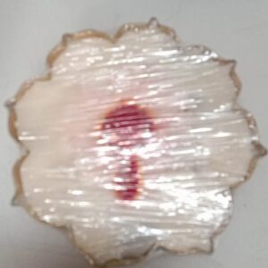 Private Lable Lotus Candle Gift Set