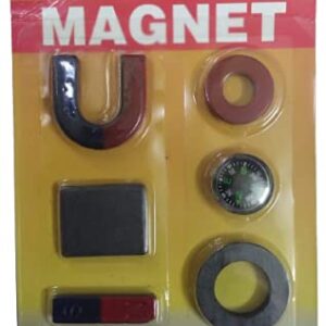 Private Lable Beauty Tool Multipurpose Magnet Set for Women and Men 6pcz