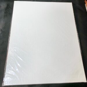 Variety artist White Canvas Board 16 X 20 Inch