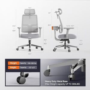 DROGO Ergonomic Office Chair for Work from Home High Back Computer Chair Grey colour