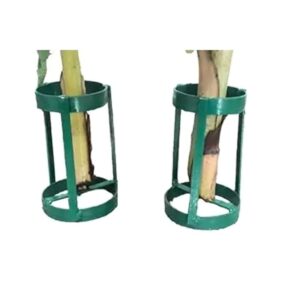Private Lable Metal Banana Tree Stand for Pooja Durable Iron Banana Leaf Holder Traditional Mandir Festival Decoration Stand Green Green 2 Pcs