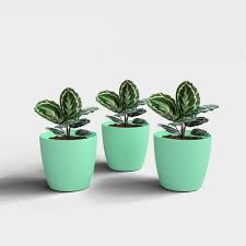 Private Lable ROUND SHAPE PLASTIC FLOWER POT Green Colour Pack of 6