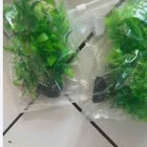 Private Label PLASTICK PLANT IN PACK OF 8