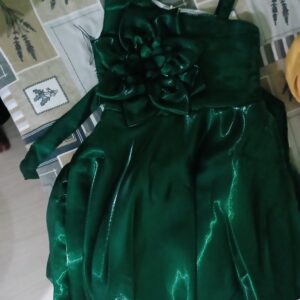 Private Label PANNA PARI FROCK Green Colour 22 size