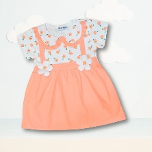 Private Label Peach Frock 22 Size