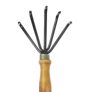 Ponds Bright Beauty Anti Dullness Brightening Facewash 100g