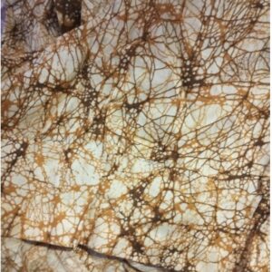 Private Label BLOUSE 36 MULTICOLOR