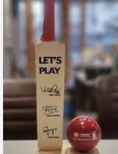 Private Label AEM Wood Show Piece Miniature Cricket Bat Stump and Cricket Ball Autograph Cricket Bat for Signature with Mini Cricket Ball and Stump Use for Show Piece and Gift Purpose Handicraft