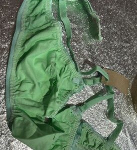 Private Label Wirefree Non Padded Medium Coverage Everyday Bra Size 32 Green