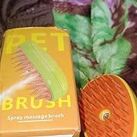 Emily Pets Cat Steam Brush