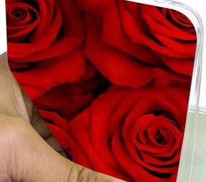 Private Label PAYSTORE Back Cover