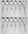 Private Label 12 Pcs Steel Spoon