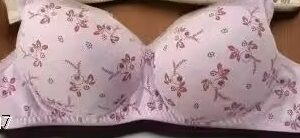 Private Label Women Pink Colour Bra Free Size
