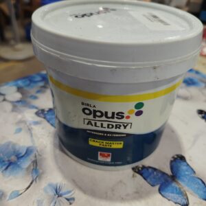 Birla Opus Alldry Wall n Roof 10 10Year Waterproofing Solution with Temperature Reduction and Crack Bridging Easy Application for Roofs and Walls 1 kg