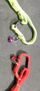 Precious Enclosures Dog Collar and Light Reflector Leash Set Puppy Plain Adjustable Nylon Collar with Leash for Small and Medium Puppies Dog AND Cat Pack of 2 Parrot Green Red