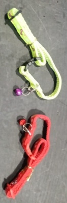 Precious Enclosures Dog Collar and Light Reflector Leash Set Puppy Plain Adjustable Nylon Collar with Leash for Small and Medium Puppies Dog AND Cat Pack of 2 Parrot Green Red