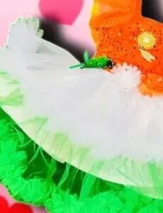 Private Labe Baby Girls Multicolour Frock 24 Size