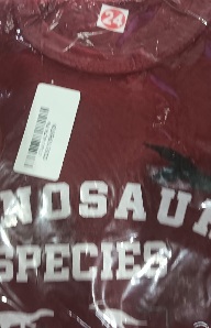 Private Label Women Everyday Non Padded Bra