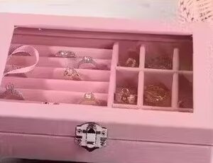 Private Label Multicolor Velvet Jewelry Storage Box with Clear Lid Pink