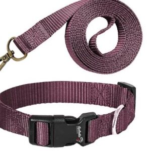 Lulala Nylon Dog Collar and Leash Set Medium Dogs Walking Running Training 15MM Maroon Color