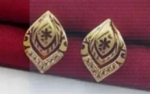 Private Label Gold Plated Earring For Women