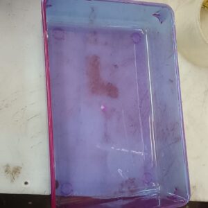 Kwality 55 Purple Plastic Storage Box 5