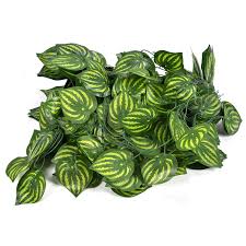 Artificial Money Plant Uv Resistant Leaves Hanging For Garden Wall Decoration